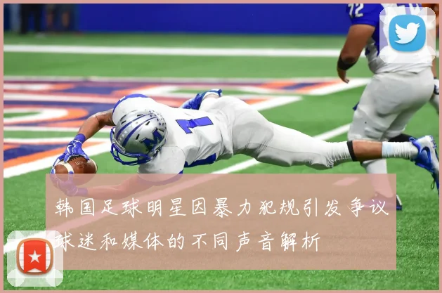 韩国足球明星因暴力犯规引发争议球迷和媒体的不同声音解析